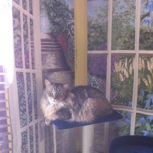 Meet your Posher, Audrey